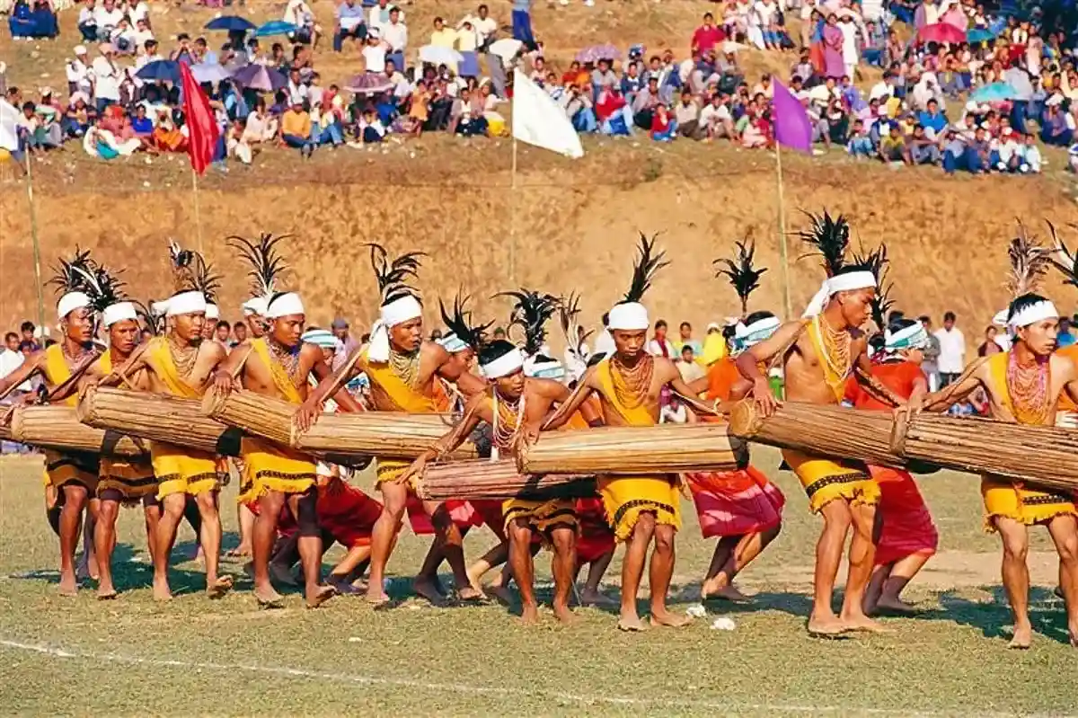 culture image