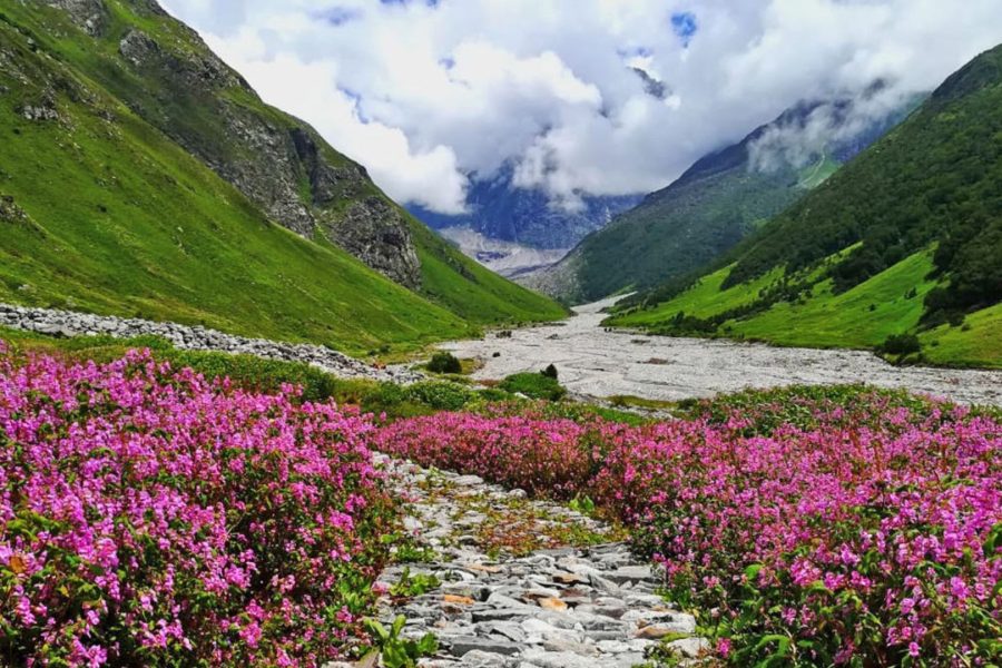 Valley of Flowers Trek Itinerary (Ex Haridwar)